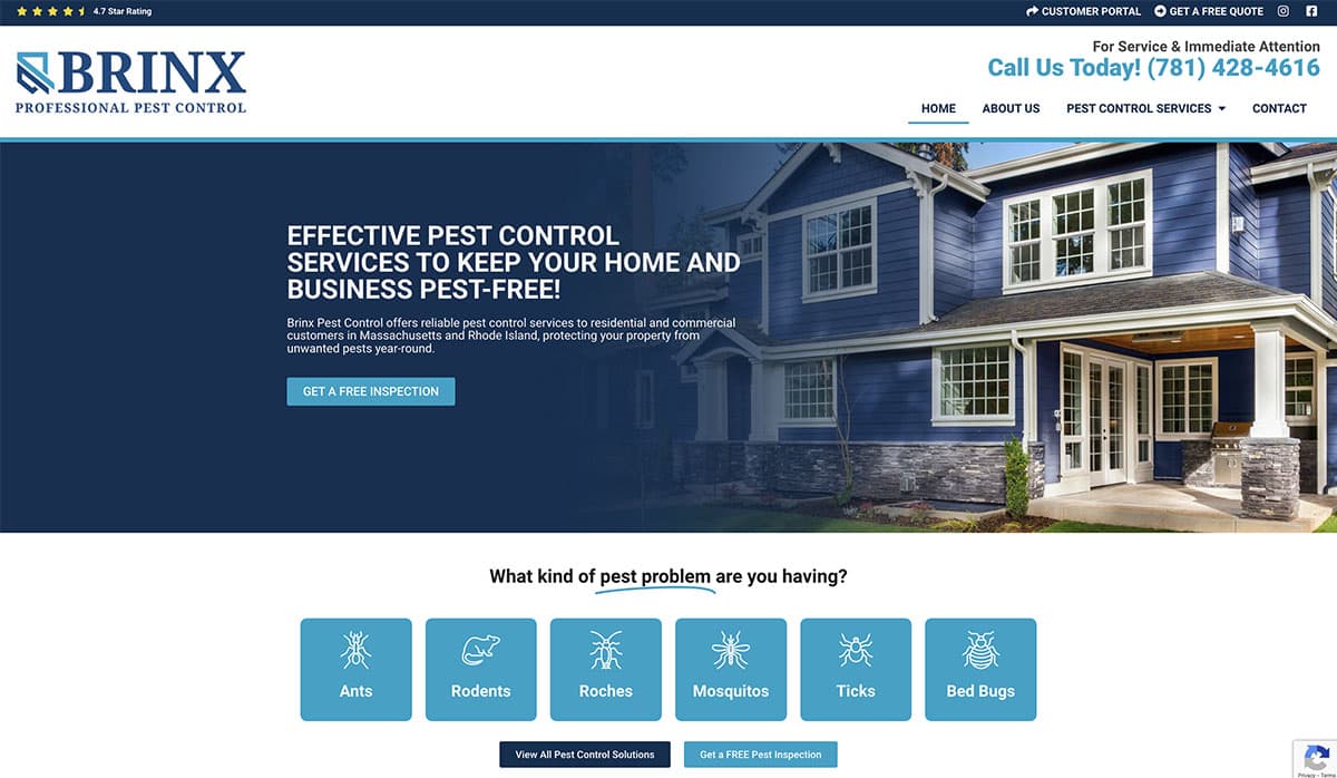 web-design-portfolio_0005_Layer 2
